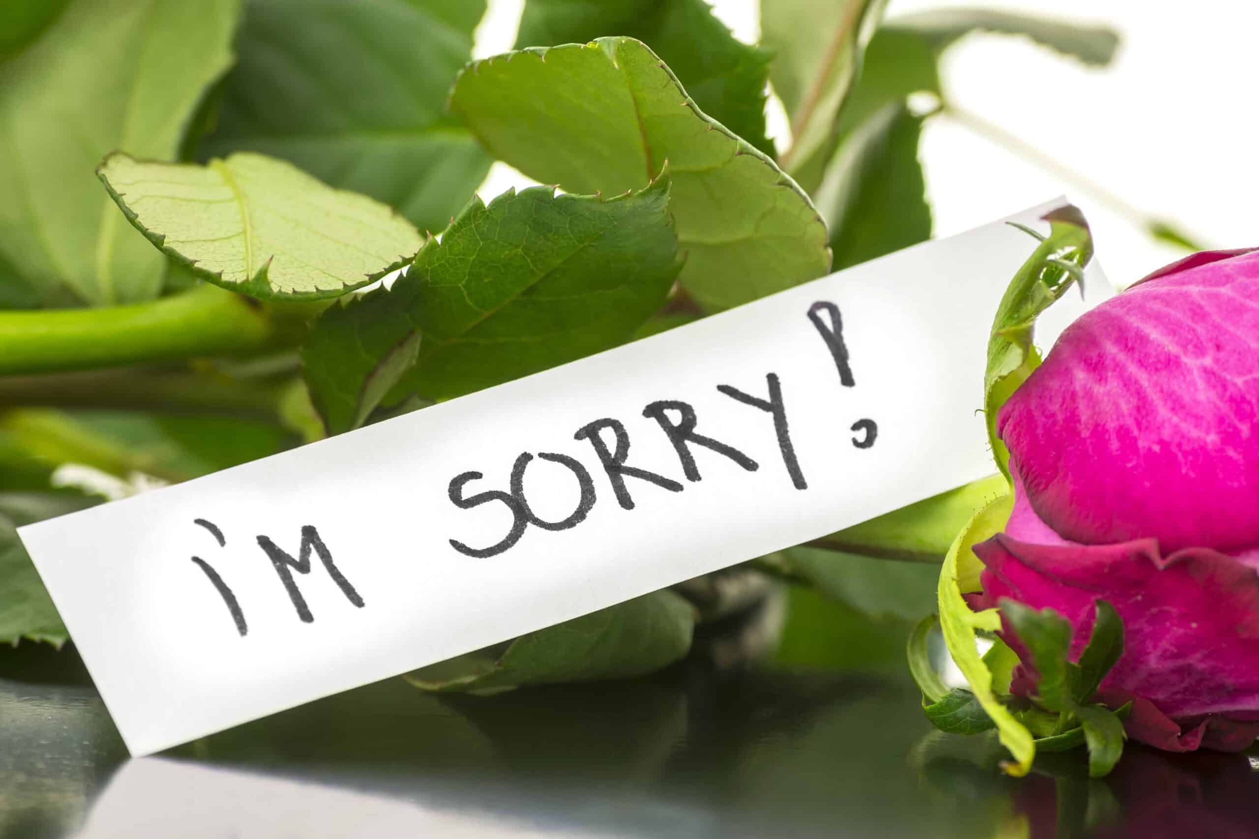 Words of apology to a friend